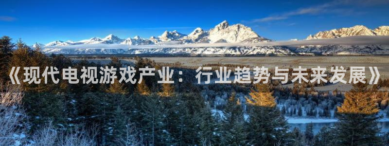 辉达娱乐app：《现代电视游戏产业：行业趋势与未来发展》