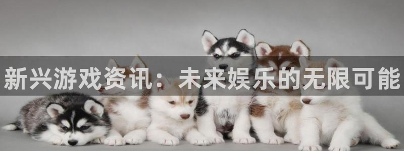辉达娱乐平台官网登录：新兴游戏资讯：未来娱乐的无限可能