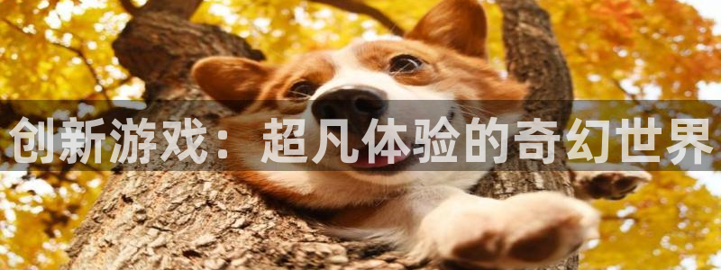 辉达娱乐注册：创新游戏：超凡体验的奇幻世界