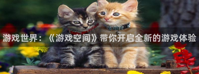 辉达娱乐登陆地址：游戏世界：《游戏空间》带你开启全新的游戏体