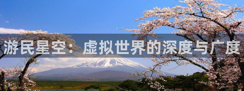 辉达娱乐注册：游民星空：虚拟世界的深度与广度