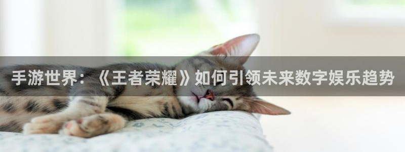 辉达娱乐官方注册登录：手游世界：《王者荣耀》如何引领未来数字
