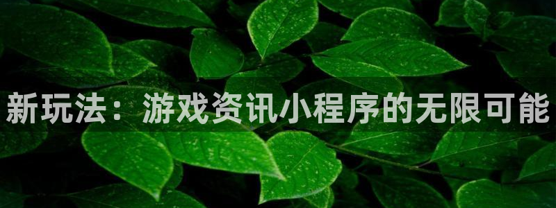 辉达娱乐网页版地址：新玩法：游戏资讯小程序的无限可能