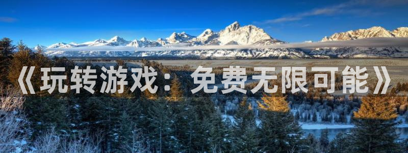 辉达娱乐咨询：《玩转游戏：免费无限可能》