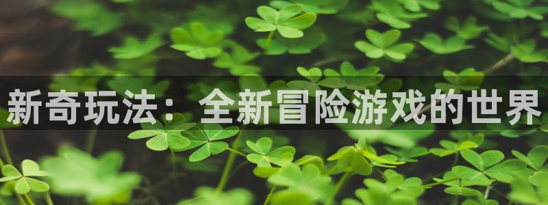 辉达娱乐手机网页版登录：新奇玩法：全新冒险游戏的世界