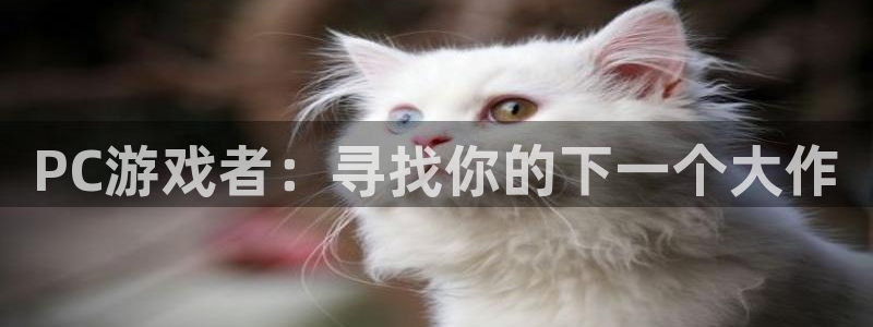辉达娱乐注册平台：PC游戏者：寻找你的下一个大作